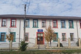 Scoala Gimnaziala Ioan Badila